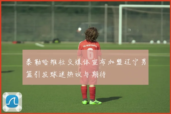 泰勒哈维社交媒体宣布加盟辽宁男篮引发球迷热议与期待