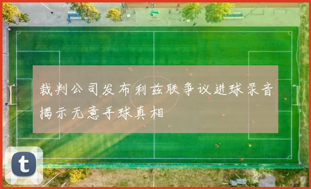 裁判公司发布利兹联争议进球录音揭示无意手球真相